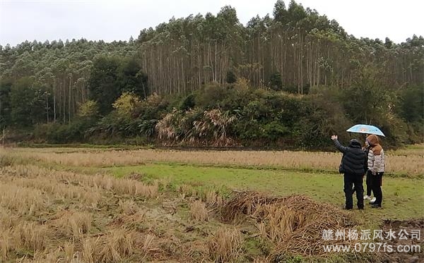 大渡口区陈老师带着爱徒寻龙点穴