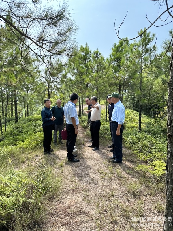 大渡口区学杨公风水跟陈荣昌老师实在